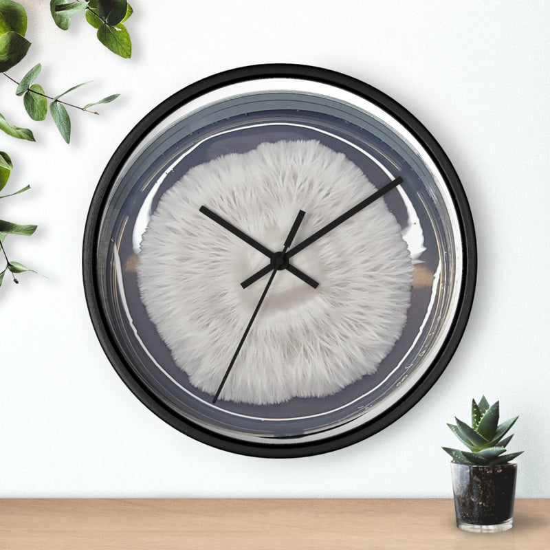 Agar Clocks