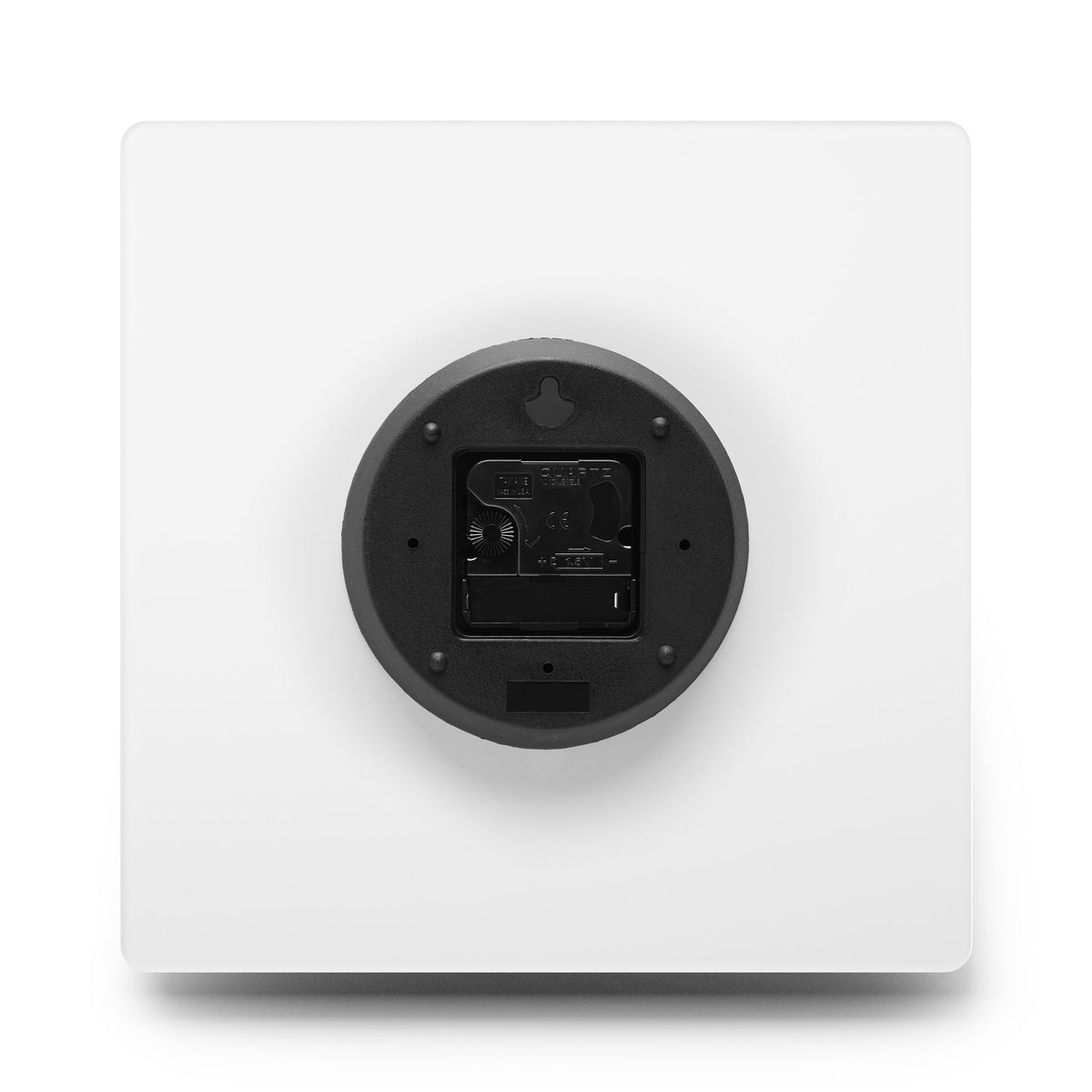Cultured Specimen No.1 — Mycelium Wall Clock