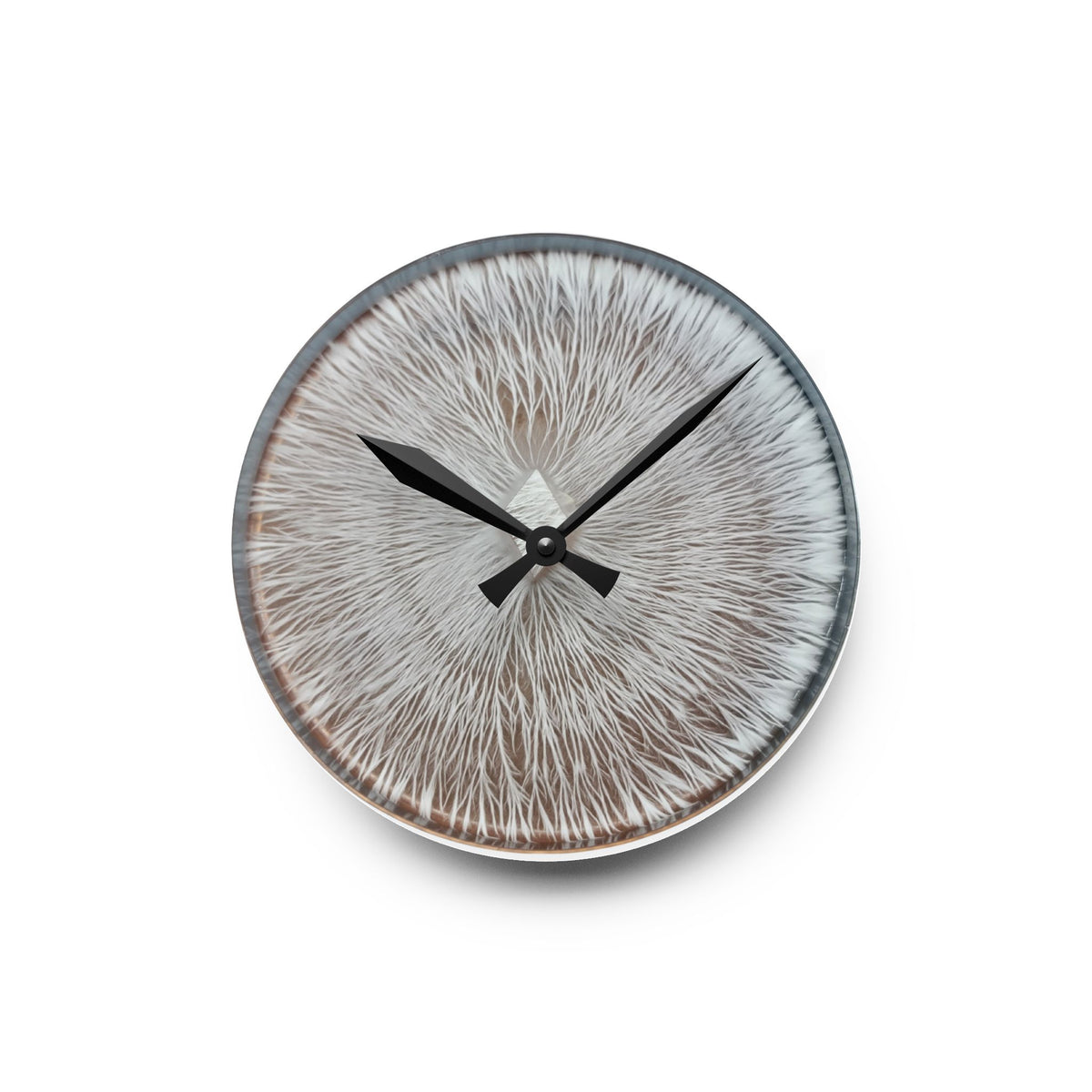 The Agar 02