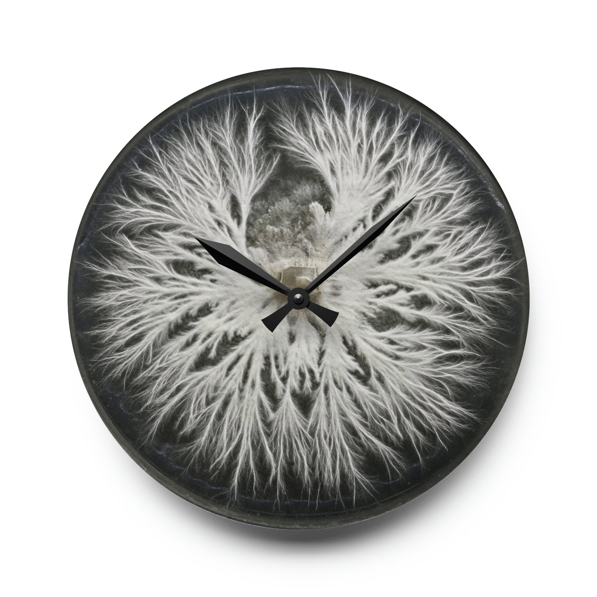 Specimen Plate — Mycelium Wall Clock